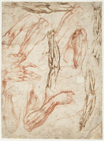 A 028 recto
          <br/>
          Anatomische studies van arrmen, benen en handen
          <br/>
          <em>Michelangelo Buonarroti (1475-1564)</em>